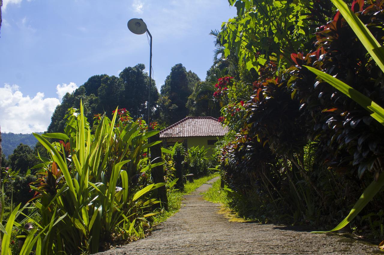 Munduk Aryautama Garden Villa מראה חיצוני תמונה