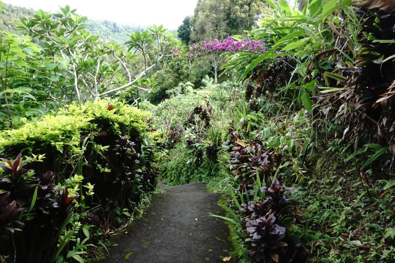 Munduk Aryautama Garden Villa מראה חיצוני תמונה